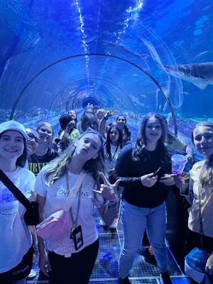 SeaWorld 2023